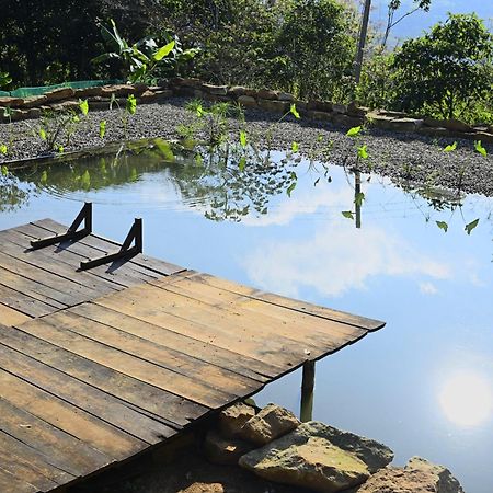 La Pacha Hostel バリチャラ エクステリア 写真