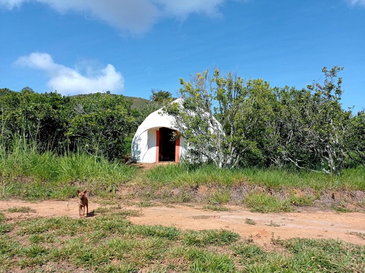 La Pacha Hostel バリチャラ エクステリア 写真