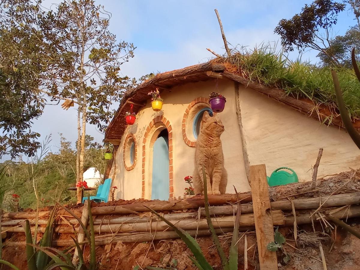 La Pacha Hostel バリチャラ エクステリア 写真