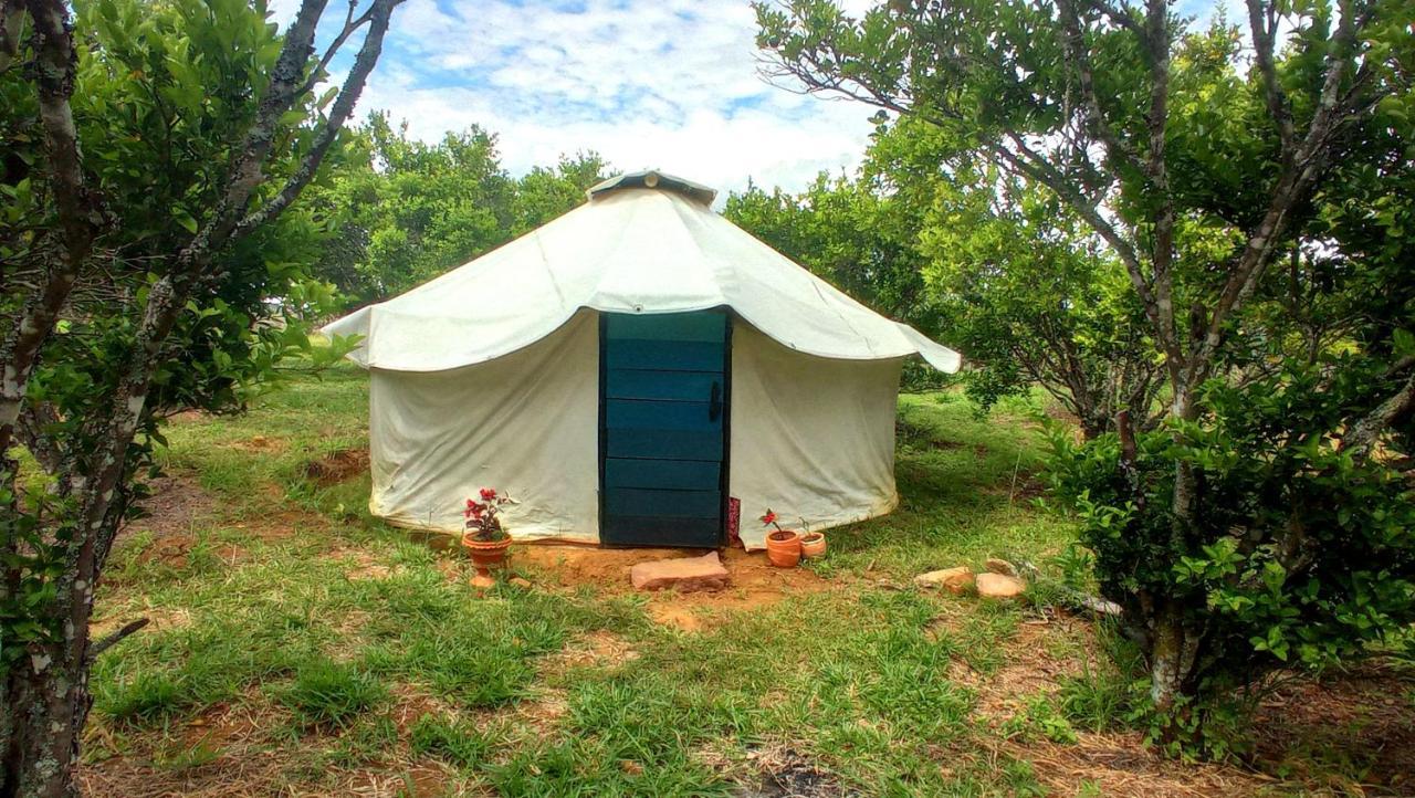 La Pacha Hostel バリチャラ エクステリア 写真