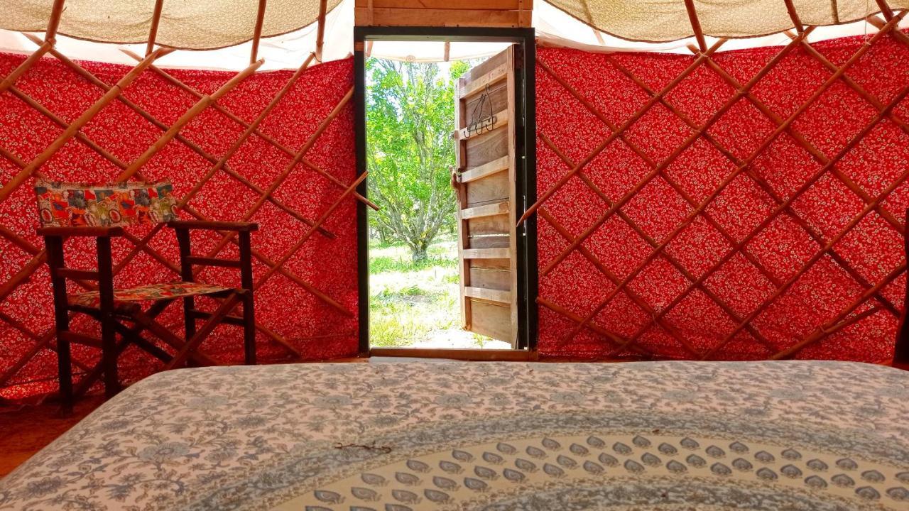 La Pacha Hostel バリチャラ エクステリア 写真