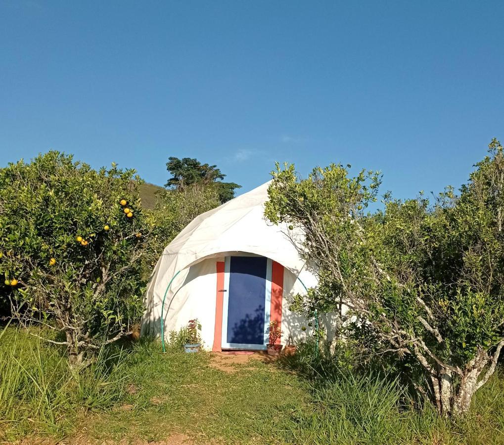 La Pacha Hostel バリチャラ エクステリア 写真