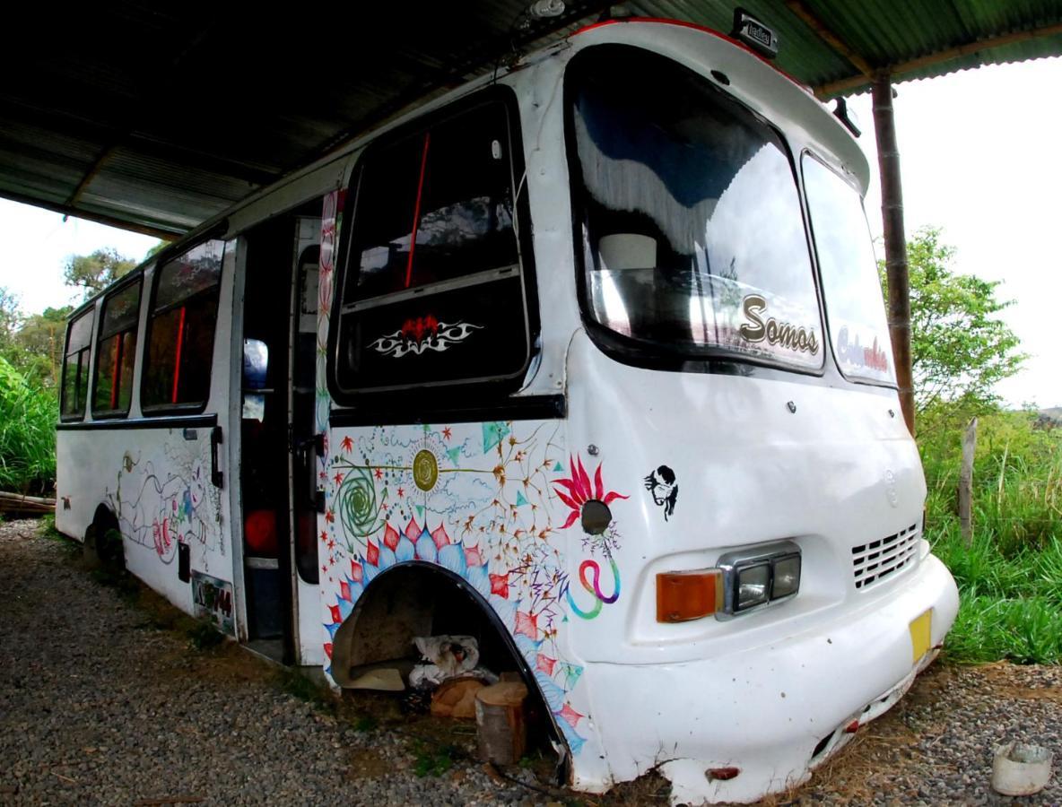La Pacha Hostel バリチャラ エクステリア 写真
